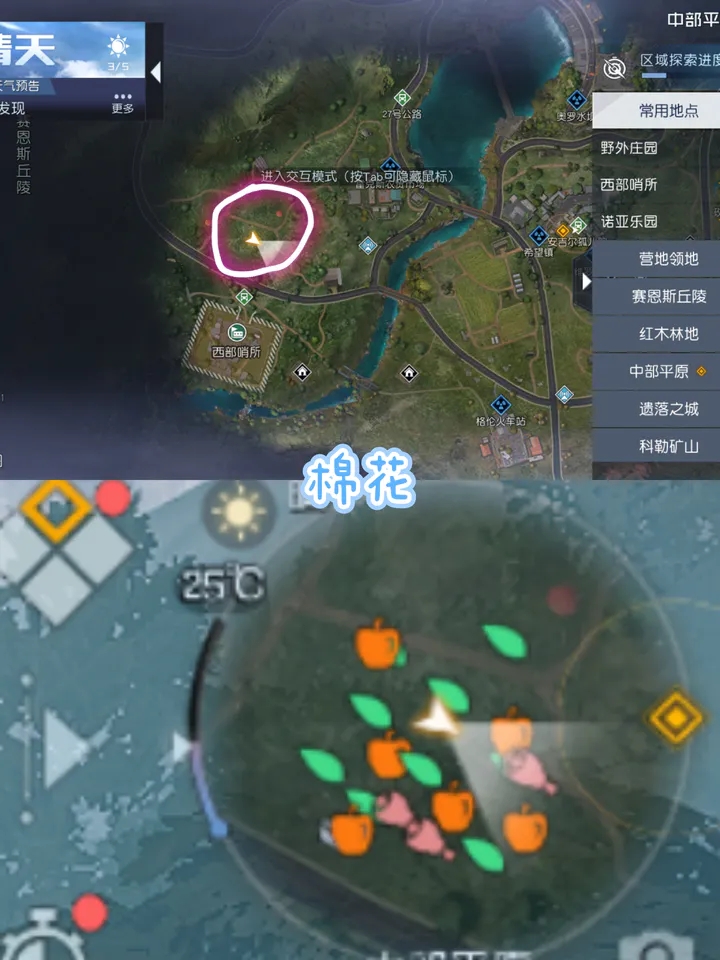 黎明觉醒生机中部平原采集点分享