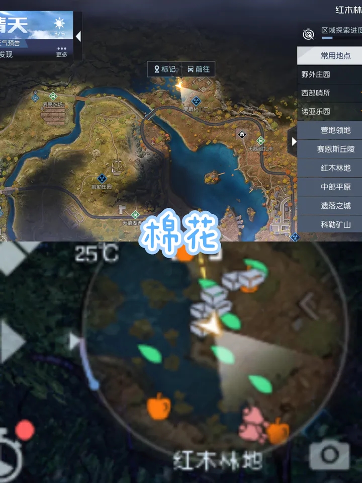黎明觉醒生机红木林地资源采集点攻略