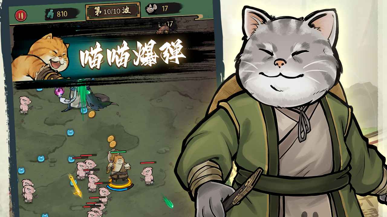 我的猫咪会武功