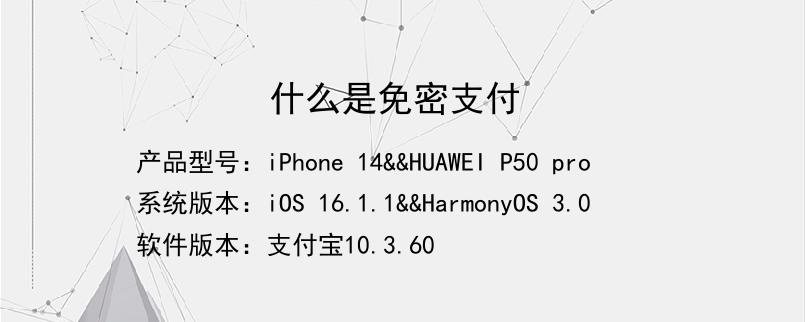 什么是免密支付