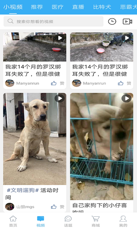 猛犬俱乐部2023版