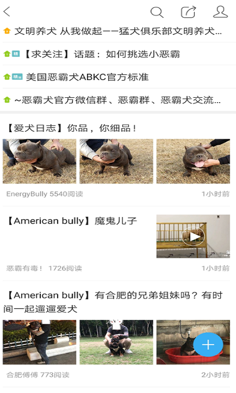 猛犬俱乐部2023版