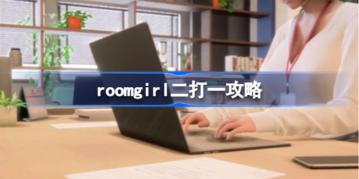 roomgirl怎么二打一