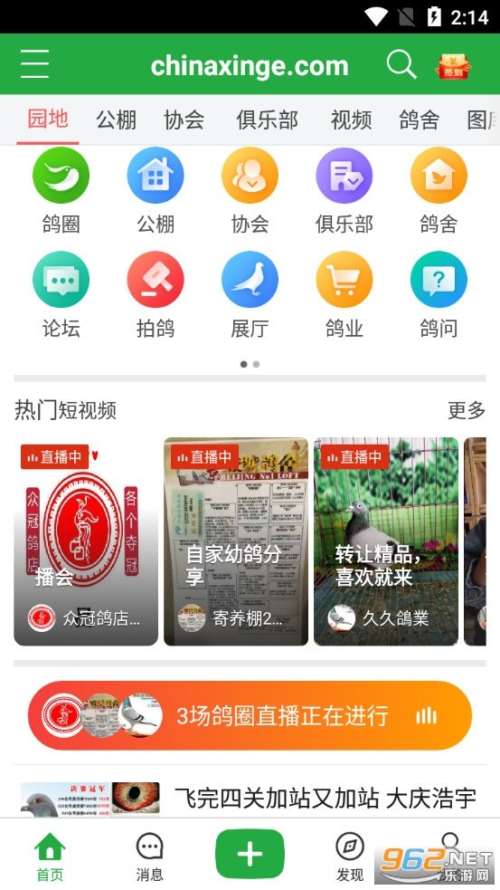 中国信鸽信息网app