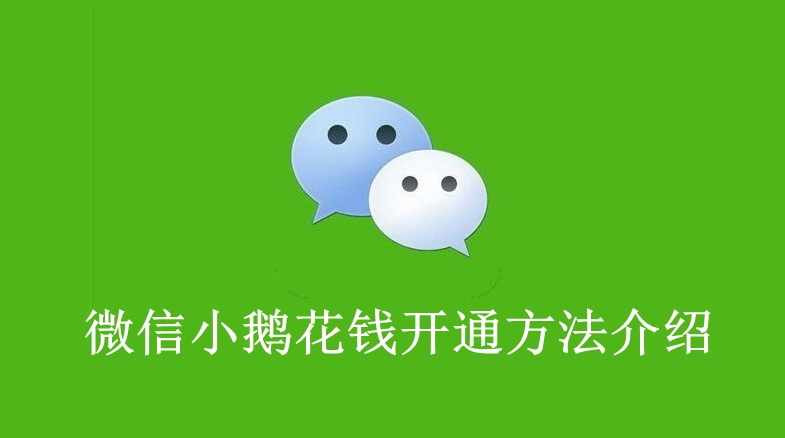  微信小鹅花钱开通方法介绍