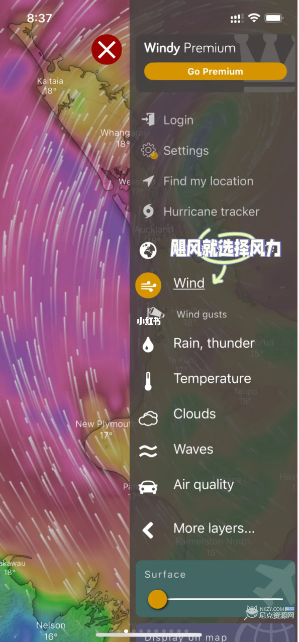 windycom天气预报