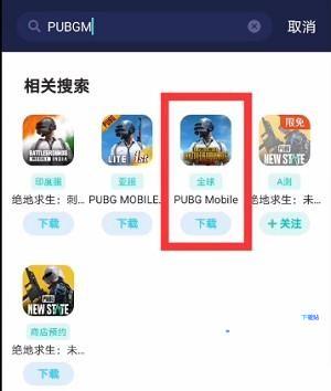 pubg国际服截图