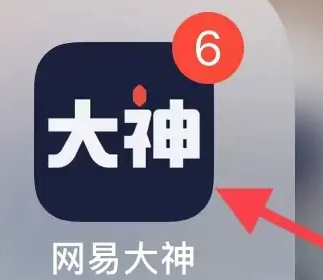 网易大神国际版