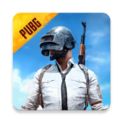 pubg国际服2.8.0官方正版