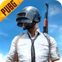 PUBG国际服体验服