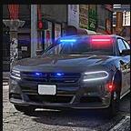 Charger Fast Police Car Driver