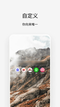 Via浏览器旧版截图1