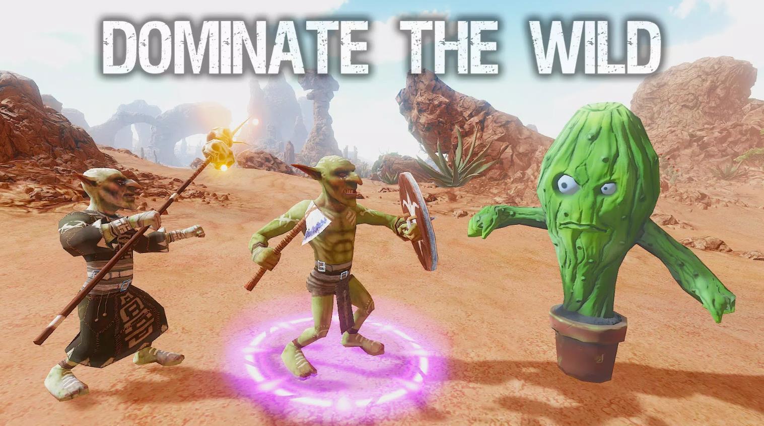 Cactus Fighter Simulator