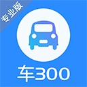 车300