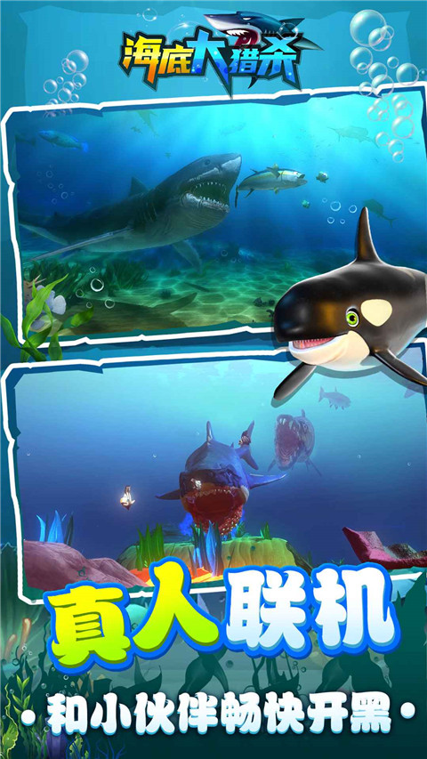 海底大猎杀虫虫助手汉化版