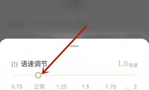 看理想app怎么调节语速？3