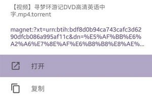 种子搜索引擎torrent 种子搜刮
引擎torrent（种子搜索器引擎） 磁力猫