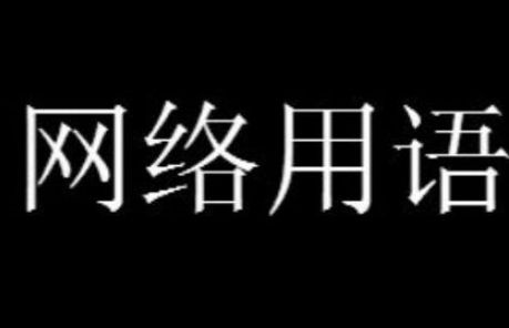 我用xx摆烂了你的ae作业梗意思介绍