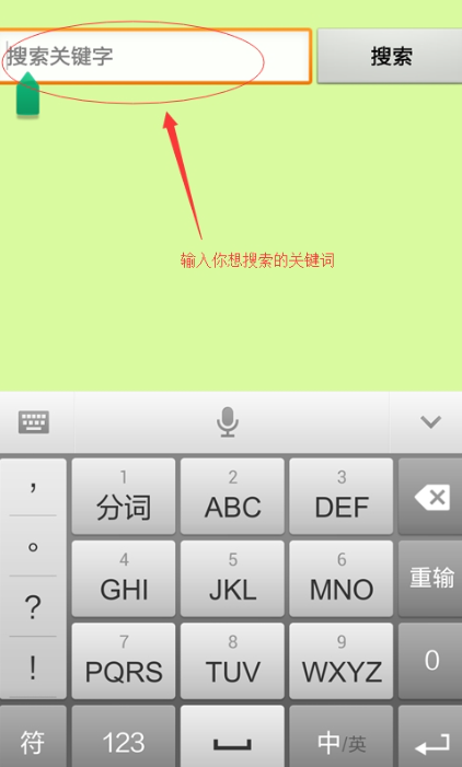 种子猫