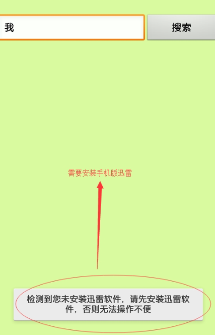 种子猫