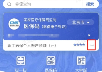 国家医保服务平台怎么查询余额明细