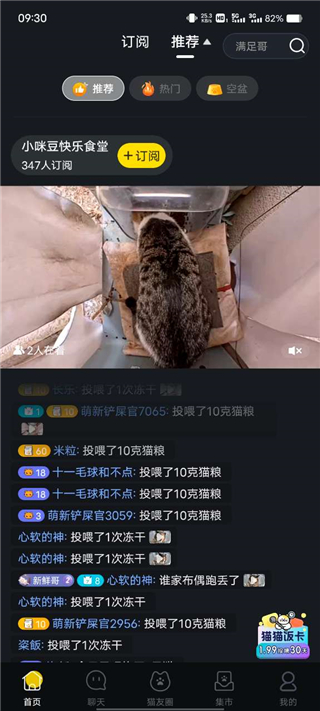 哈啰街猫