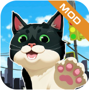 小猫咪大城市