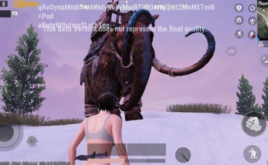 绝地求生国际服凛冬极境(PUBG MOBILE)