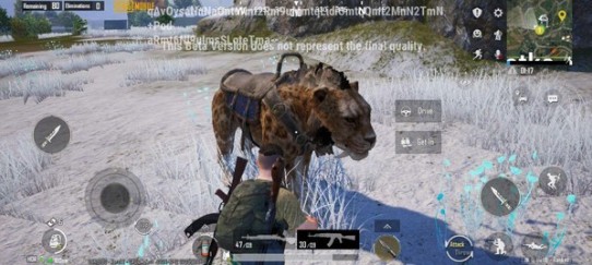 绝地求生国际服凛冬极境(PUBG MOBILE)