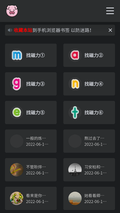 BT磁力猪截图1