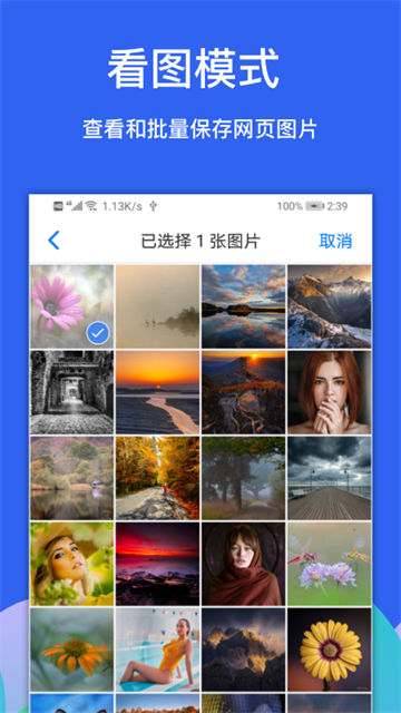 Alook浏览器截图2