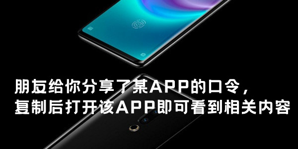 伴侣给你分享了某APP的复制口令，复制后打开该APP即可看到相关内容