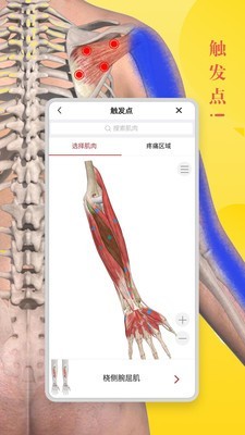 3dbody解剖截图2