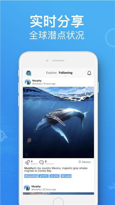 dive+潜水app安卓版