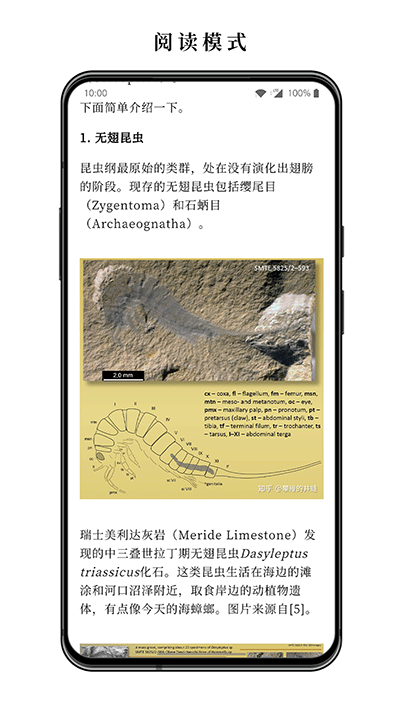 慢读小说app