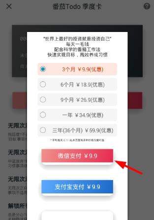 番茄todo怎么微信充值