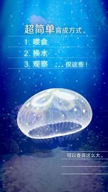 水母养成中文版