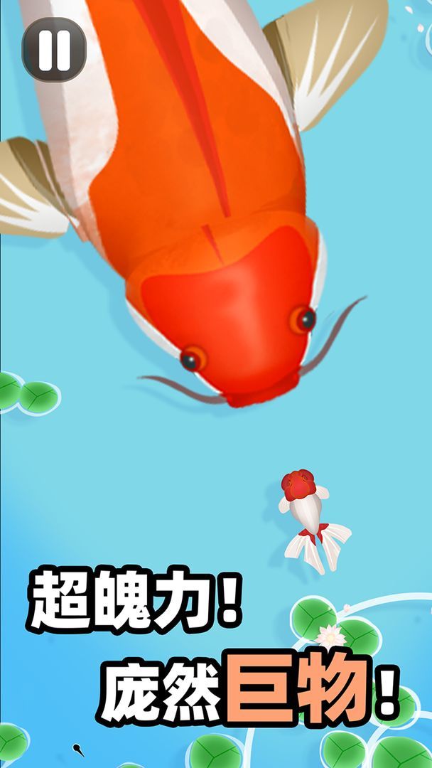 合成大锦鲤游戏3