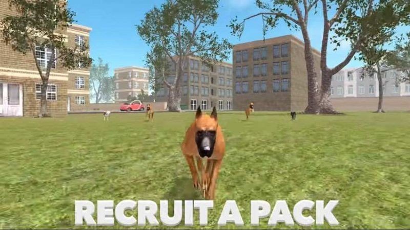 DogSim