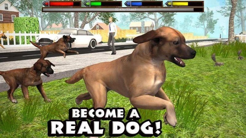 DogSim