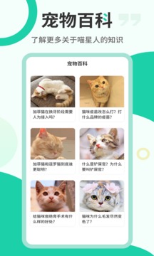 猫语翻译器