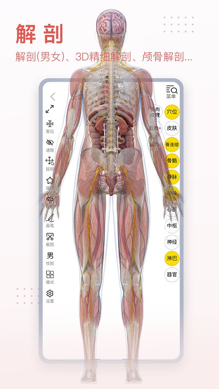 3dbody6.0中文版