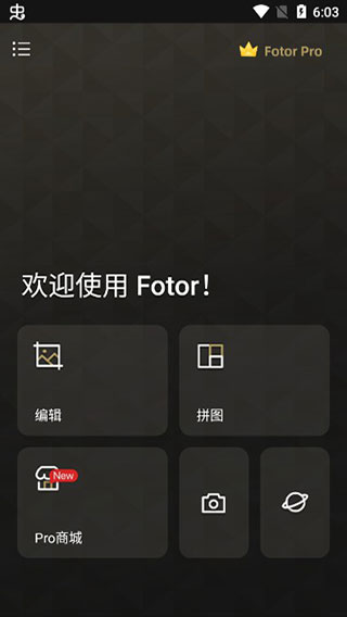 fotor中文版