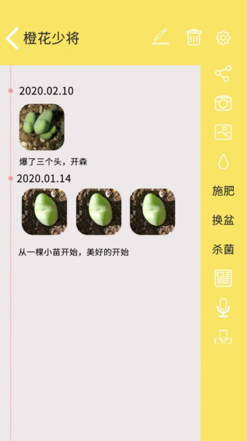 多肉花草日记app最新版