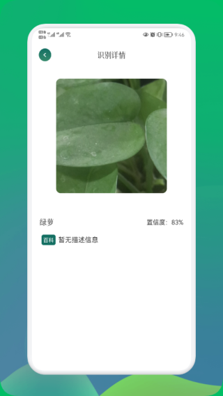 小园丁截图3