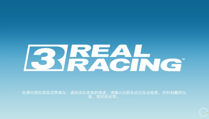 realracing3截图1