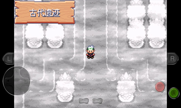 口袋妖怪永恒之沫金手指版
