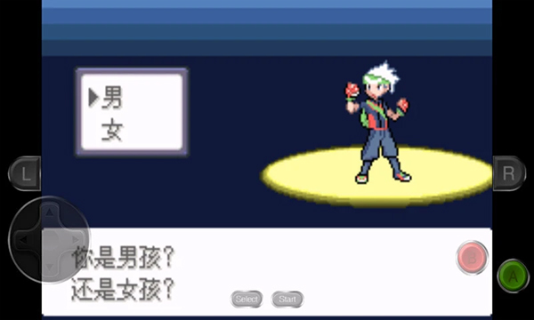 口袋妖怪永恒之沫金手指版