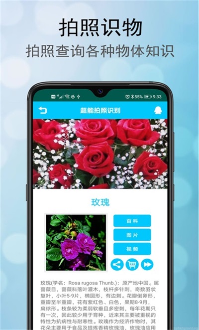 超能拍照识别app2