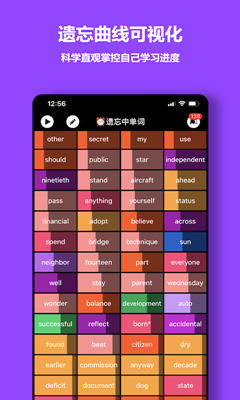 单词块app最新版2